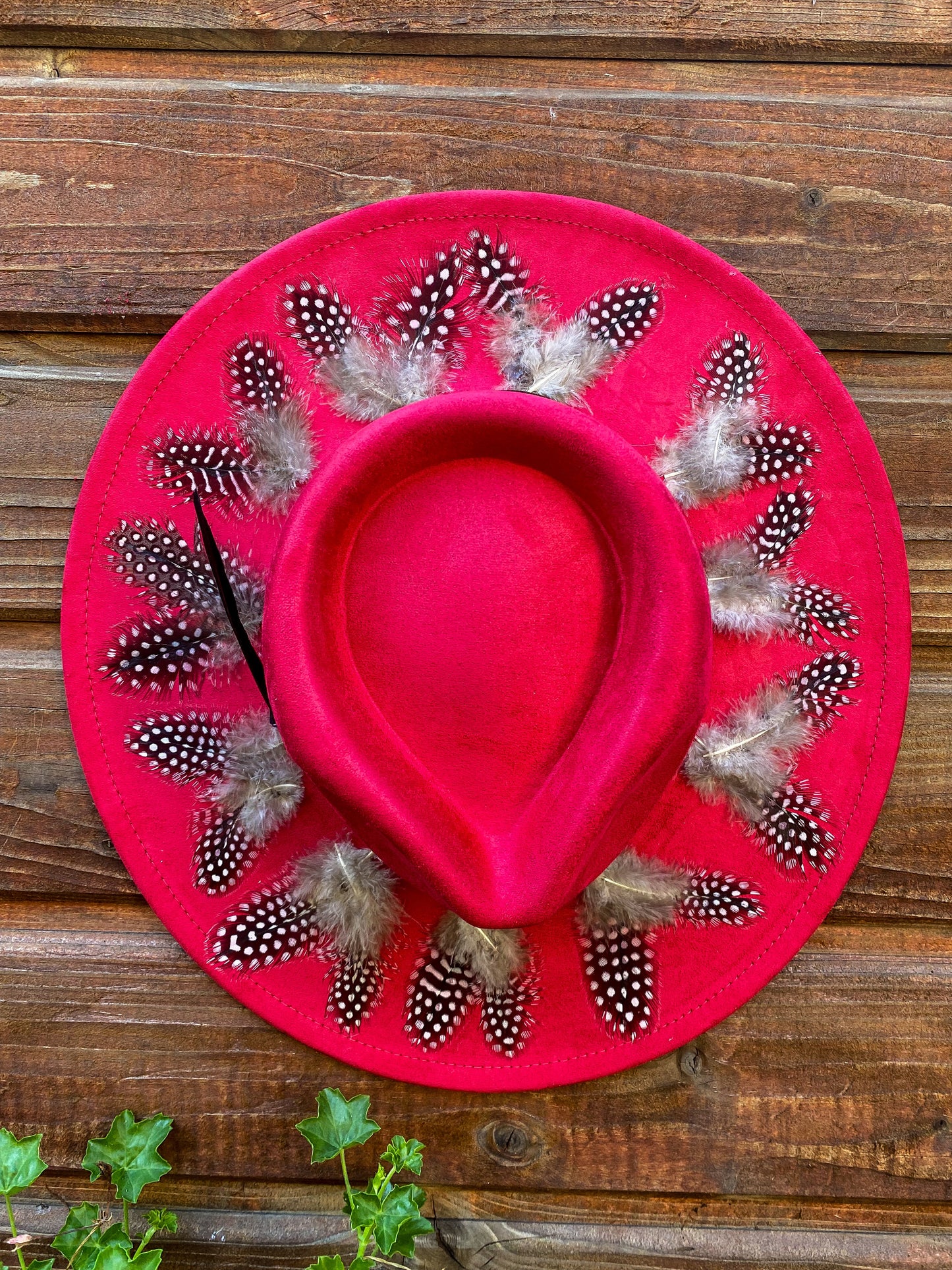 Hut Feather Wild at Noon