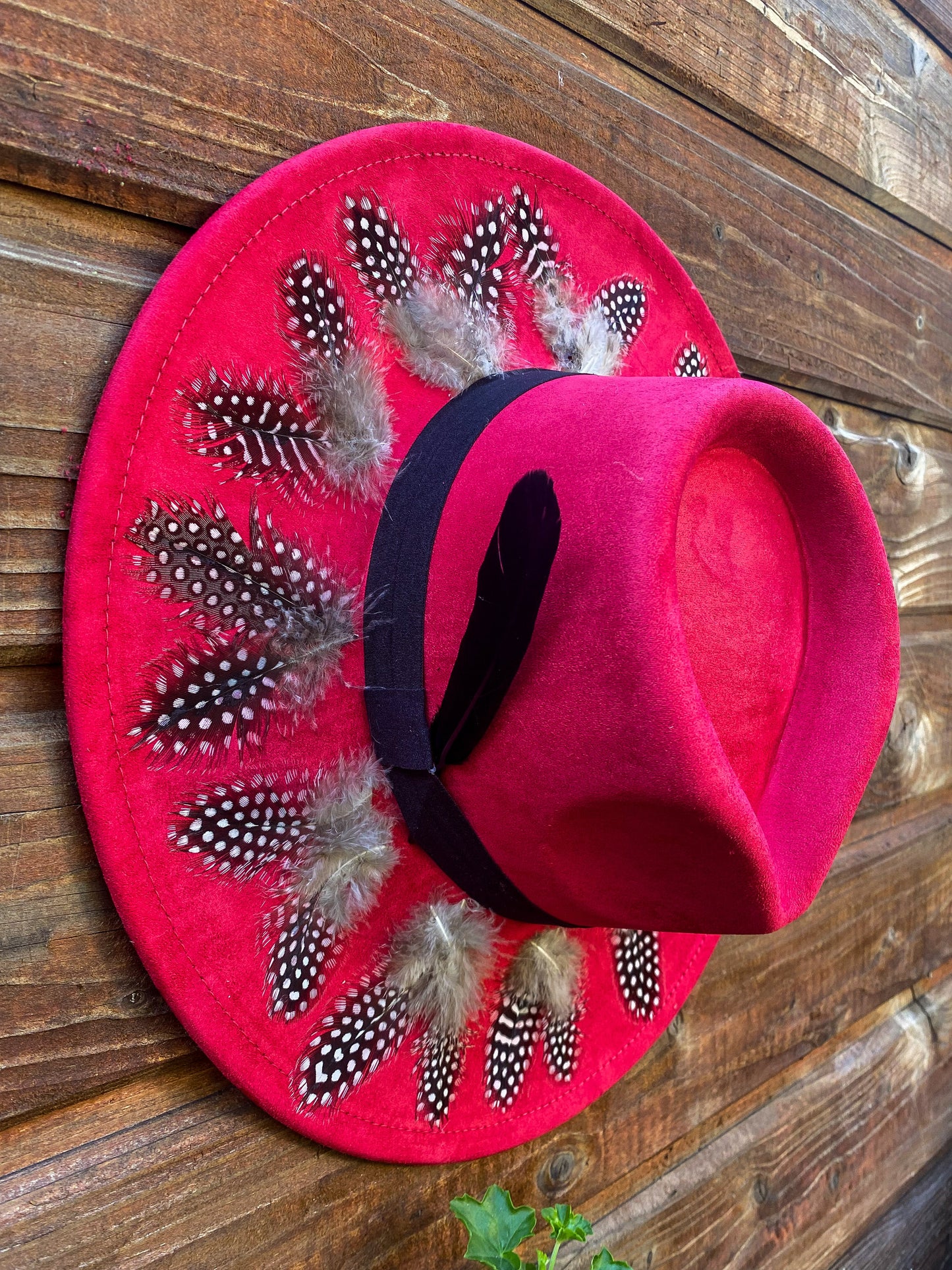 Hut Feather Wild at Noon